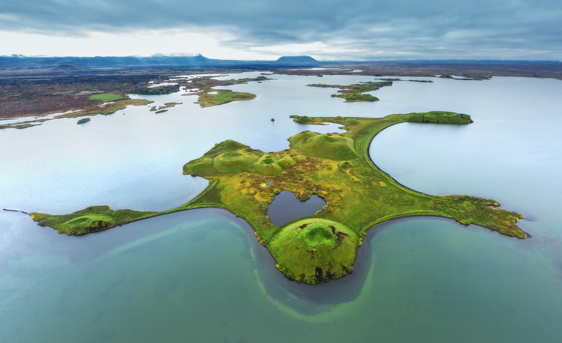 Reiche Vogelwelt am Myvatn-See im Sommer.