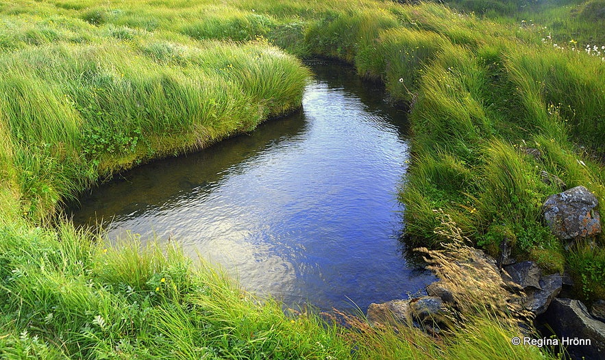 Englandshver West Iceland