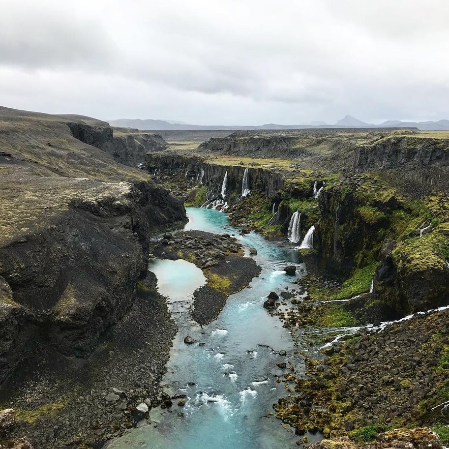 sig&ouml;lduglj&uacute;fur