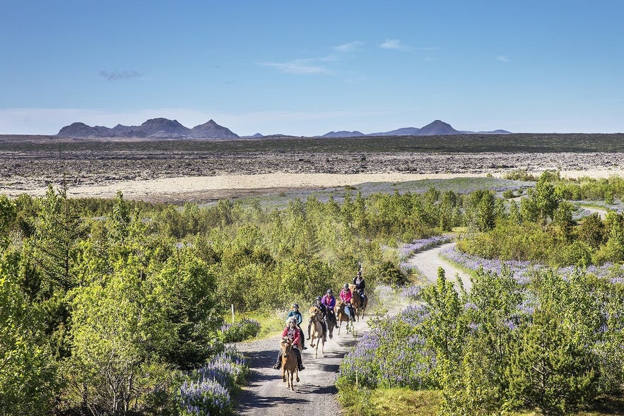 Top-5 adventurous activities without leaving Reykjavik