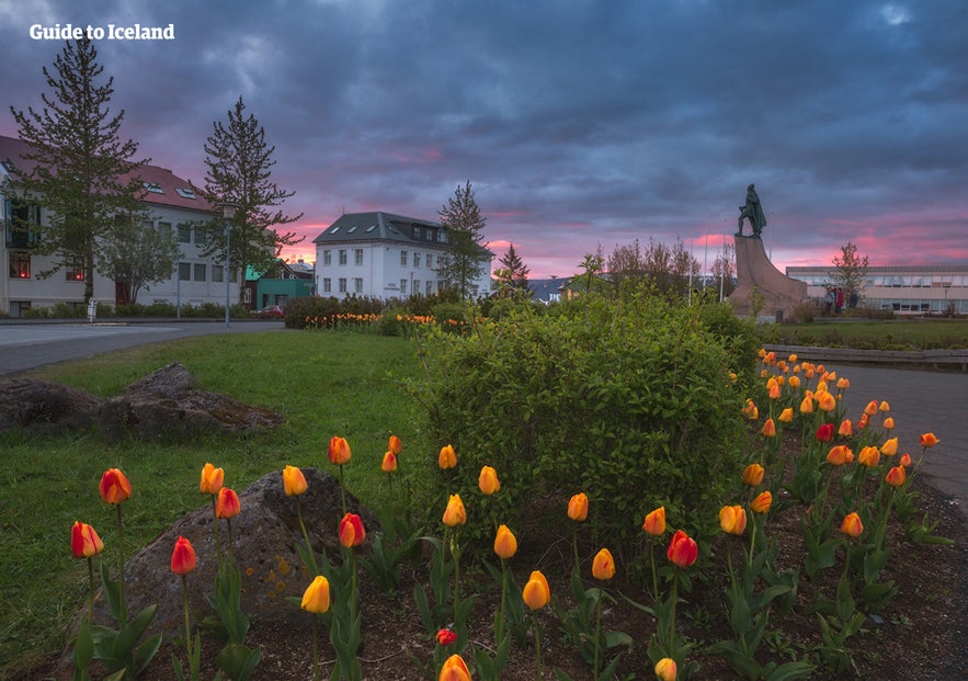 Reykjavík is a safe city, but is still a bustling capital.