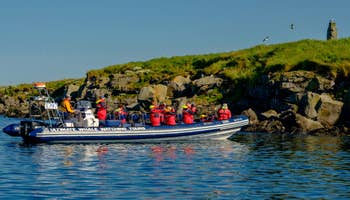 Førsteklasses én-times søpapegøjetur i RIB-båd fra Reykjaviks havn