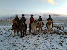 Scenic 1.5-Hour Horseback Riding during Winter in the Countryside of North Iceland