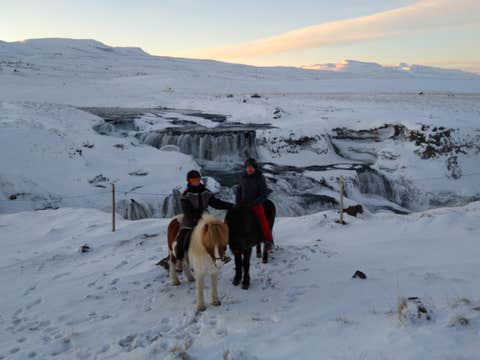 Balade à Cheval Panoramique de 1h30 dans la Campagne du Nord de l’Islande
