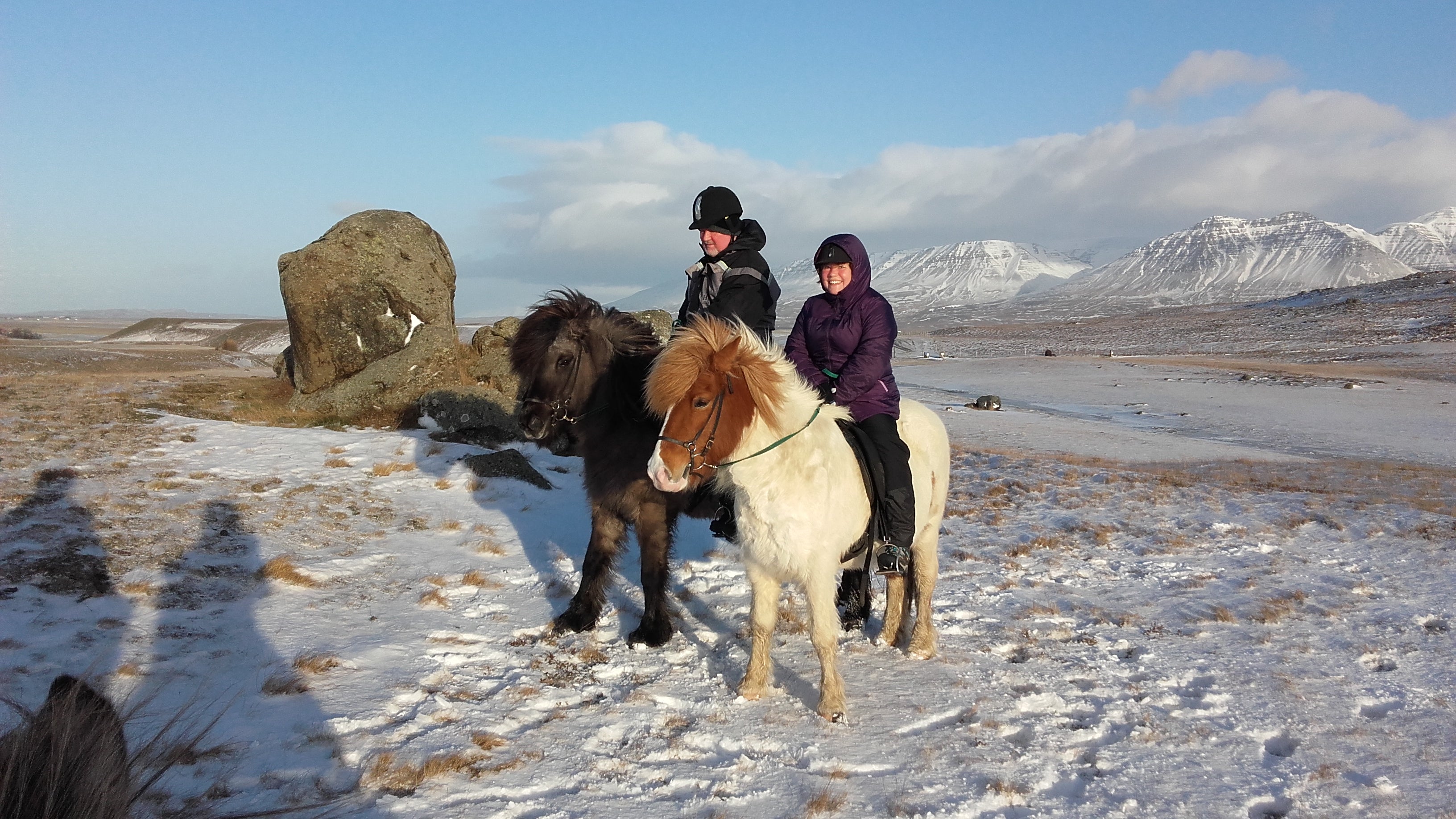 Balade à Cheval Panoramique de 1h30 dans la Campagne du Nord de l’Islande