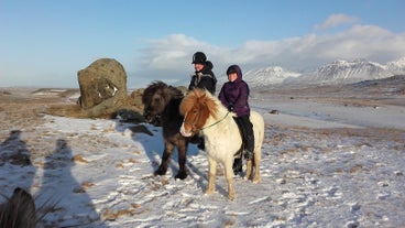 Pintoresco Paseo a Caballo de 1,5 Horas en la Naturaleza del Norte de Islandia