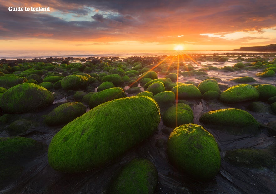 A beach near Reykjavik in summer.