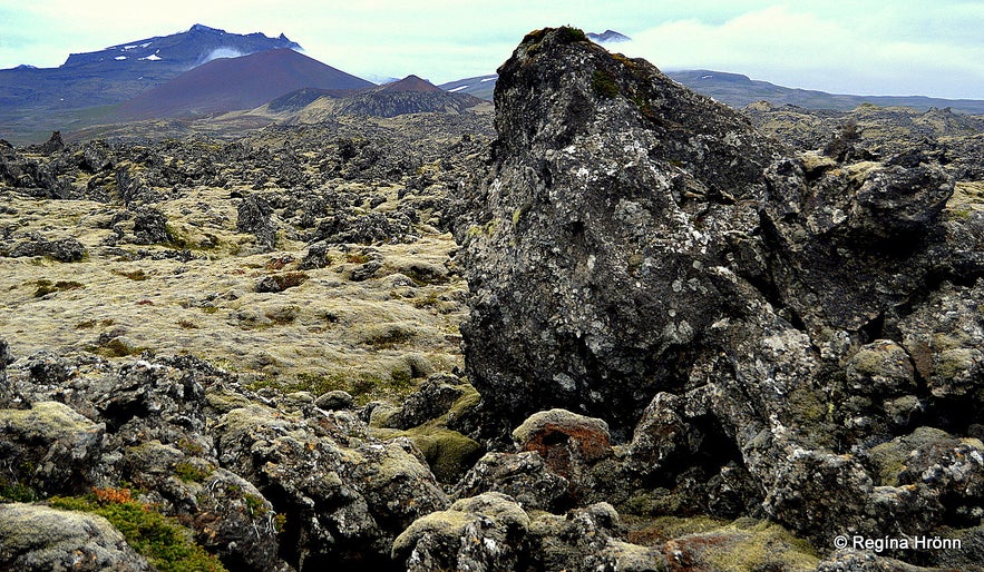 Berserkjahraun lava field in Snæfellsnes