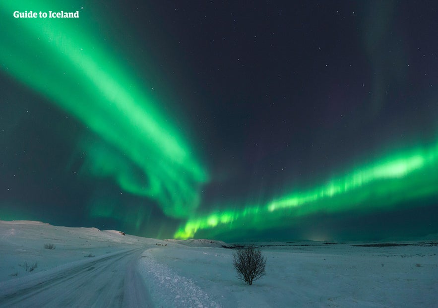 Het noorderlicht dwarrelt boven een besneeuwde weg in IJsland.