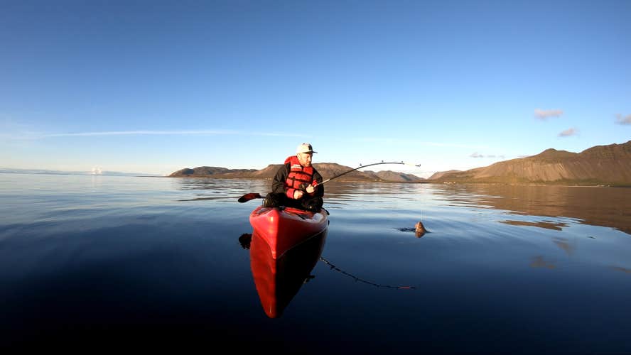 Get closer to Icelandic nature on this special tour.