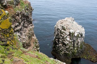 The Skoruvik cliffs in Northeast Iceland where seabirds nest.