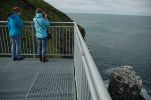 A tour joiner observes nesting birds from the Stori Karl observation deck in Langanes.