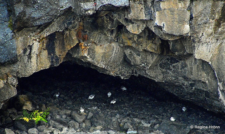 Jötuhellir cave by Geitafoss waterfall