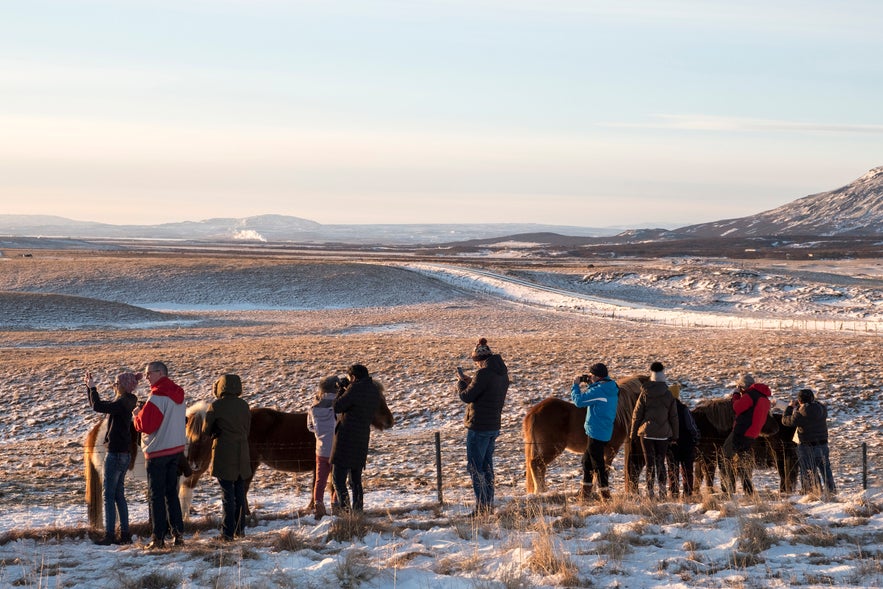 Travellers & Horses