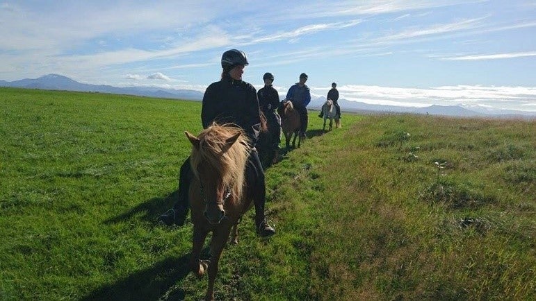 アイスランドで乗馬を楽しむ人の一団