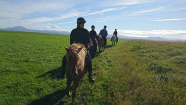 A convoy of horse riders in Iceland.