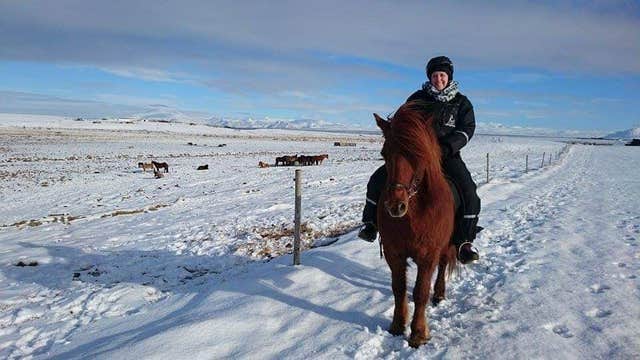 1-Hour Horse Riding Tour over the Mountains & Meadows of South Iceland Departing from Skeidvellir
