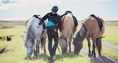 Horse riding is an essential tour for those visiting the land of ice and fire.