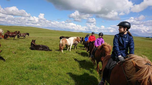 Scenic 2 Hour Horseback Riding Tour in the Icelandic Countryside with Transfer from Skeidvellir