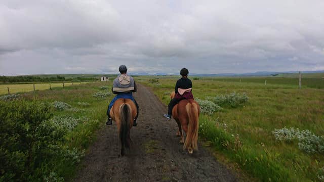 Scenic 2 Hour Horseback Riding Tour in the Icelandic Countryside with Transfer from Skeidvellir