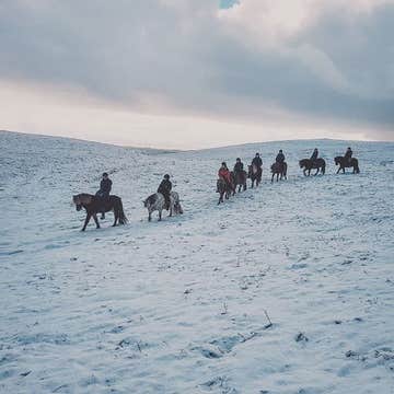 1-Hour Horse Riding Tour over the Mountains & Meadows of South Iceland Departing from Skeidvellir