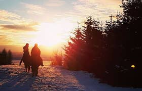 1-Hour Horse Riding Tour over the Mountains & Meadows of South Iceland Departing from Skeidvellir