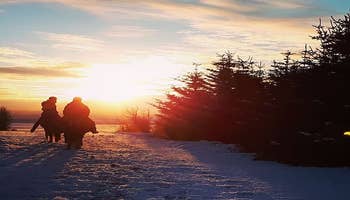 Paseo a Caballo de 1 Hora por Montañas y Praderas del Sur de Islandia y Salida de Skeidvellir