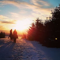 Horse riding under the soft winter sun.