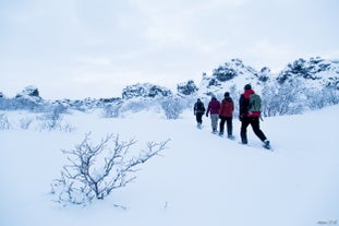 A group of people enjoy taking part in a snowshoe tour.