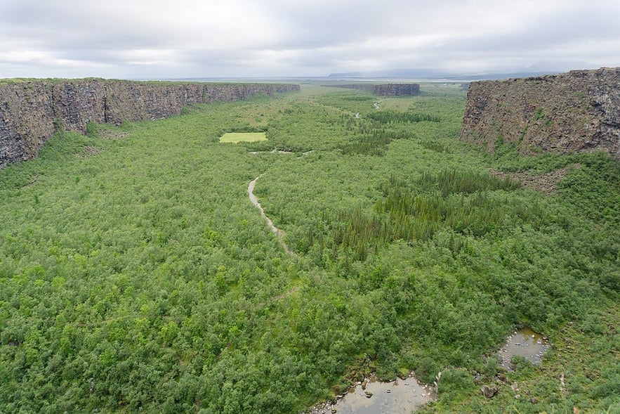 The horse shoe shaped canyon, Ásbyrgi.