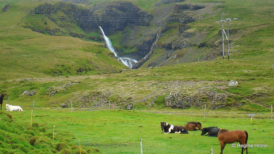 The Concert Hall of the Elves of Iceland