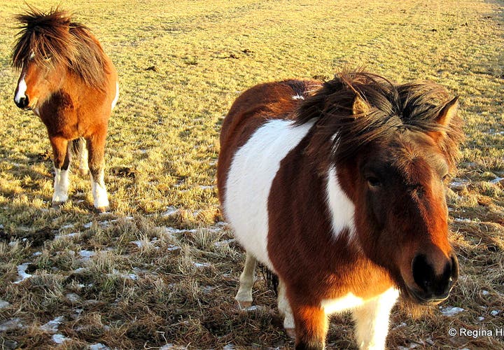 A Winter Visit to the South Coast of Iceland- all the way to Jökulsárlón Glacial Lagoon