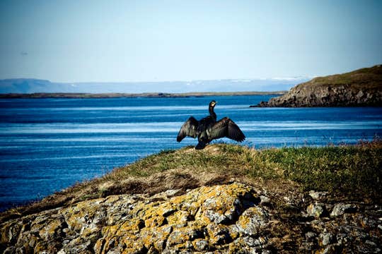 Baldur渡轮单程船票|起点斯奈山半岛,途经弗拉泰小岛,终点西峡湾
