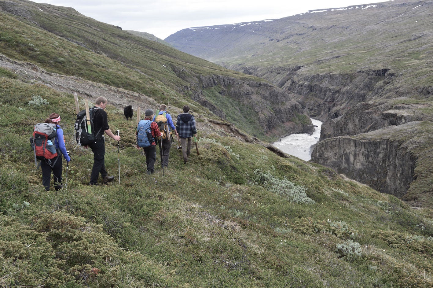 Spend a day in East Iceland hiking along Jökulsá river.