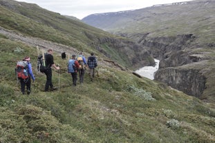 Spend a day in East Iceland hiking along Jökulsá river.