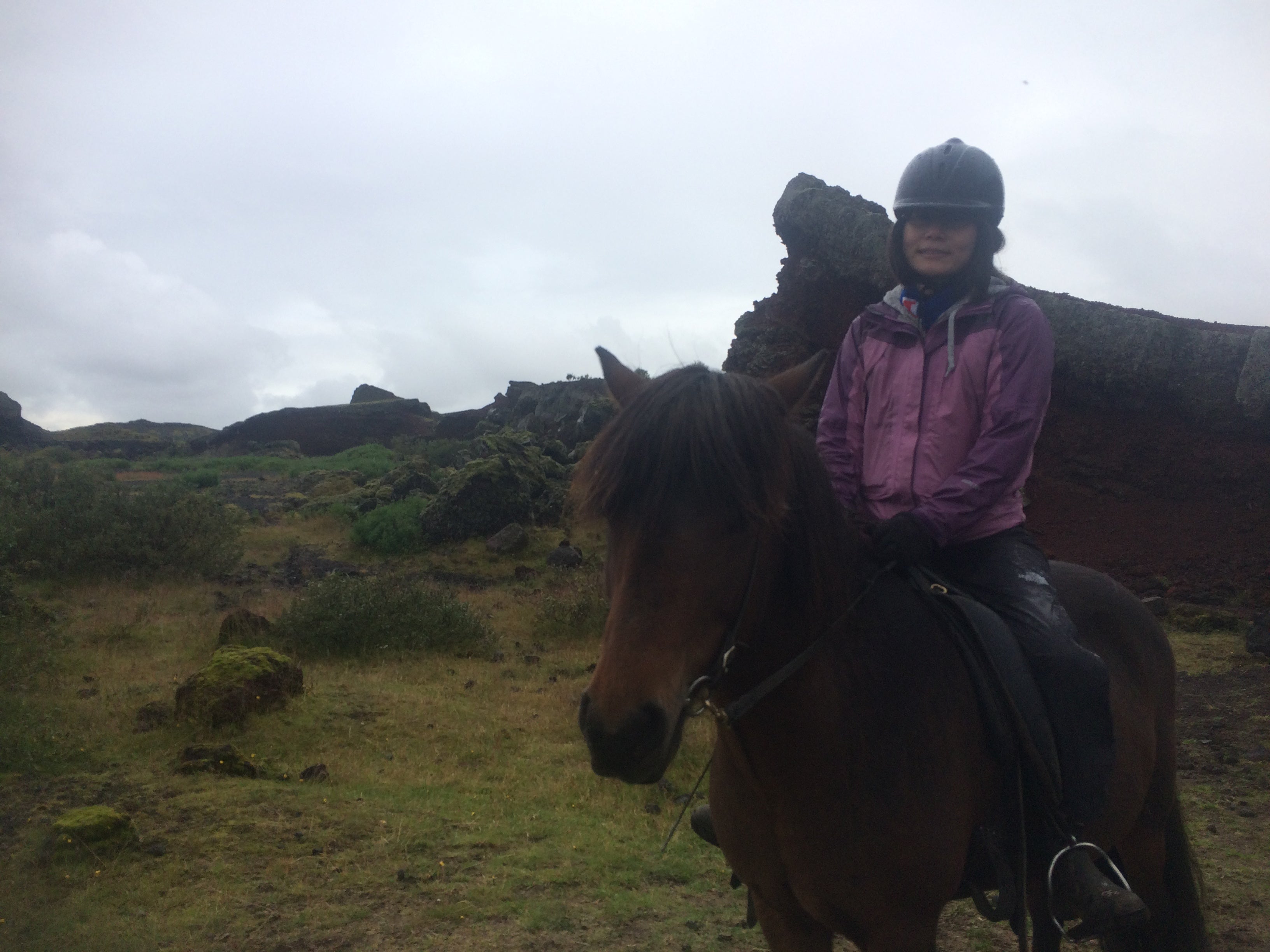 アイスランドで乗馬体験｜アイスランディックホースに乗ってきました！