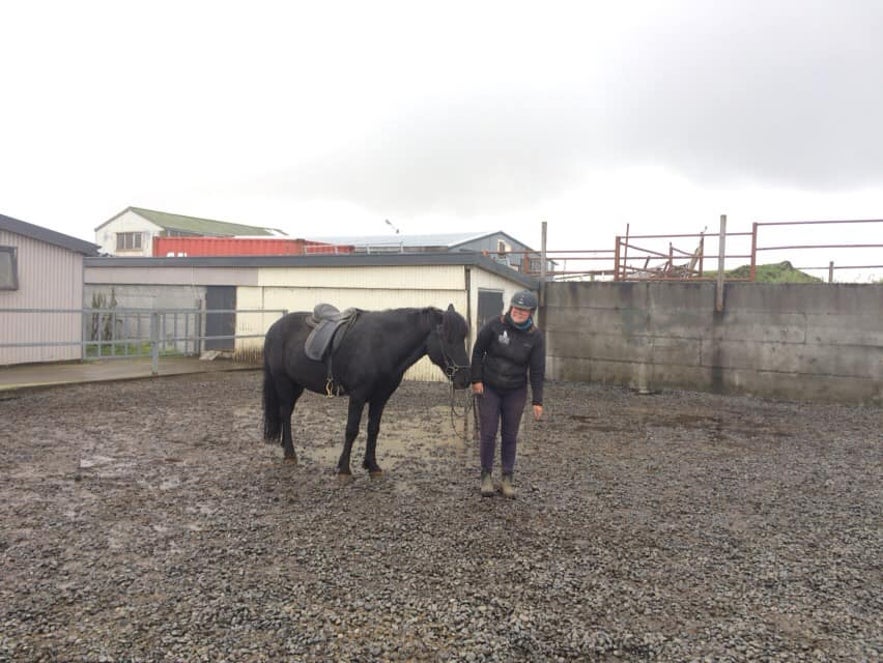 サルカさんと黒い馬