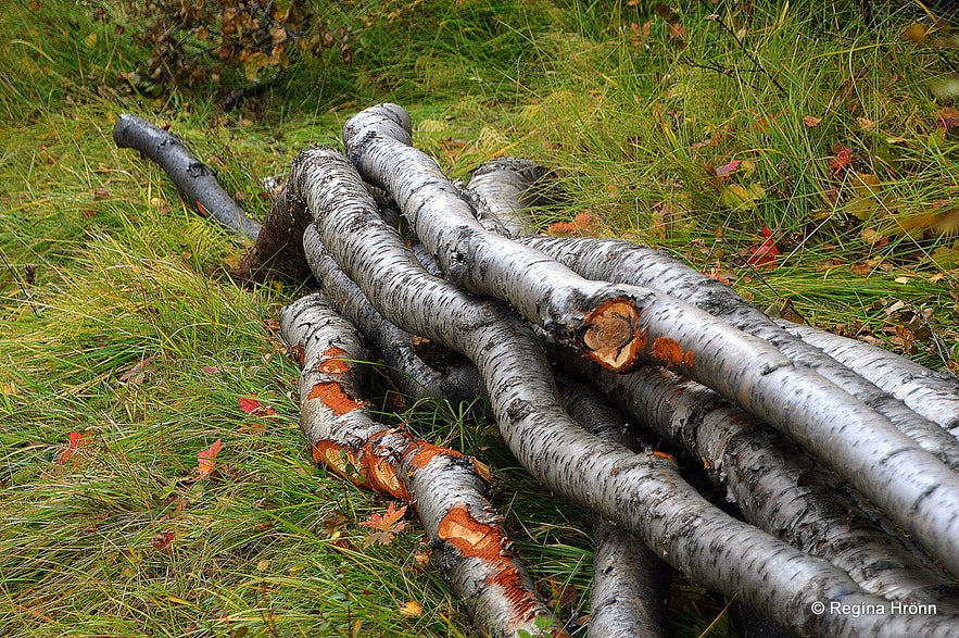 Wood cutting in Fnjóskadalur