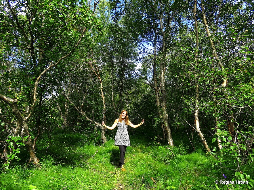 Regína in Vaglaskógur forest