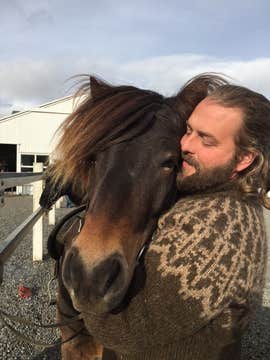Precioso Paseo a Caballo de 2 Horas por Mosfellsbaer con Traslado desde la Granja Laxnes