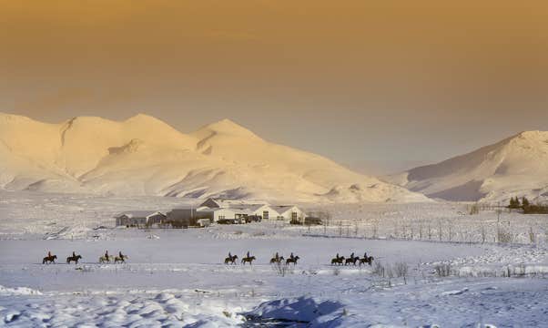 Precioso Paseo a Caballo de 2 Horas por Mosfellsbaer con Traslado desde la Granja Laxnes