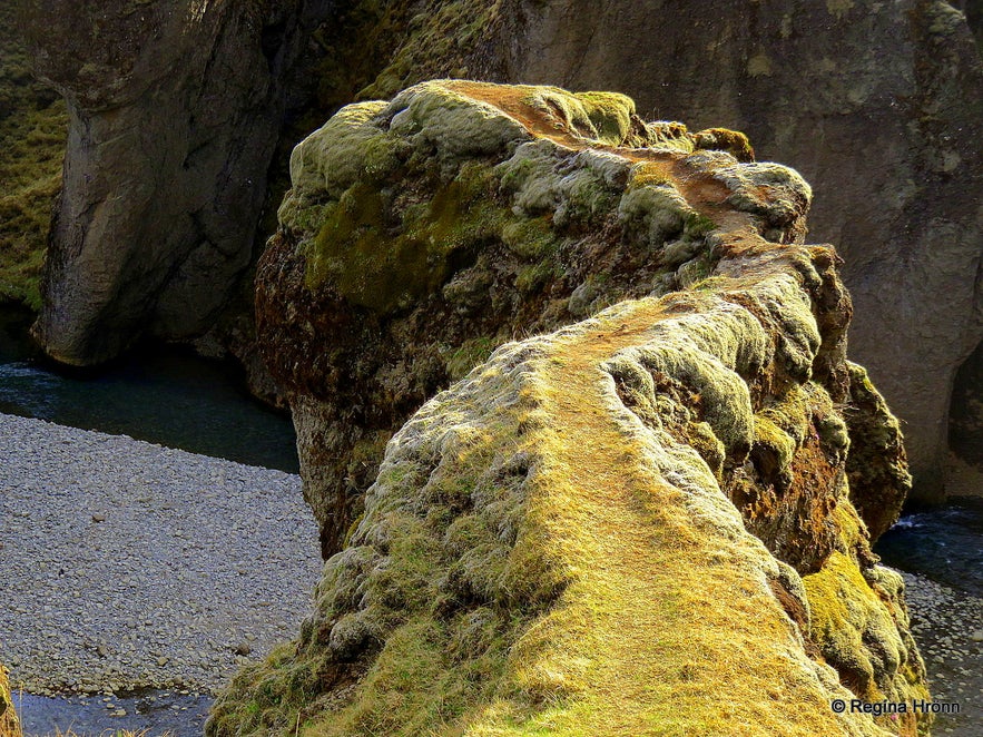 Fjaðrárgljúfur canyon South-Iceland