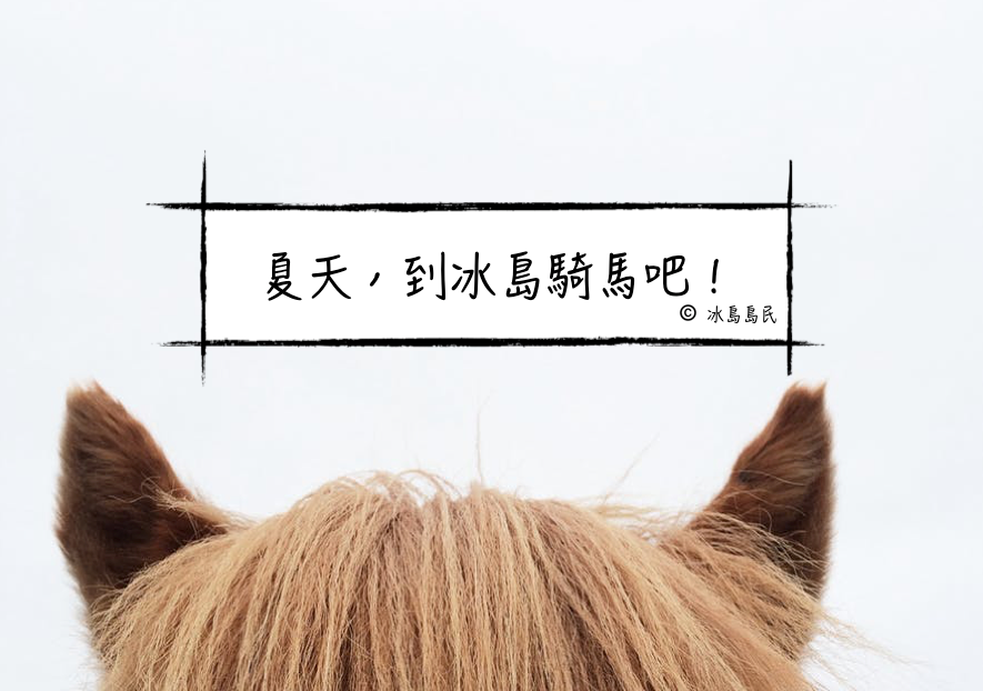 夏天，來冰島騎馬吧！