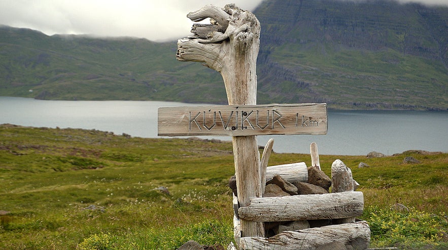 Kúvíkur at Strandir Westfjords