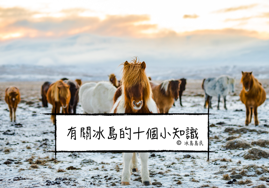 帶你了解更地道的冰島