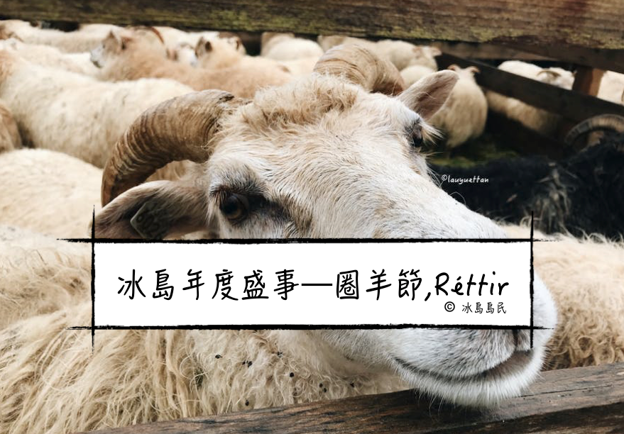冰島九月年度盛事圈羊節,Réttir