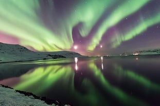 The northern lights illuminating a body of water in Iceland.