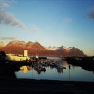 Svetlana Álfheiður Malyutina