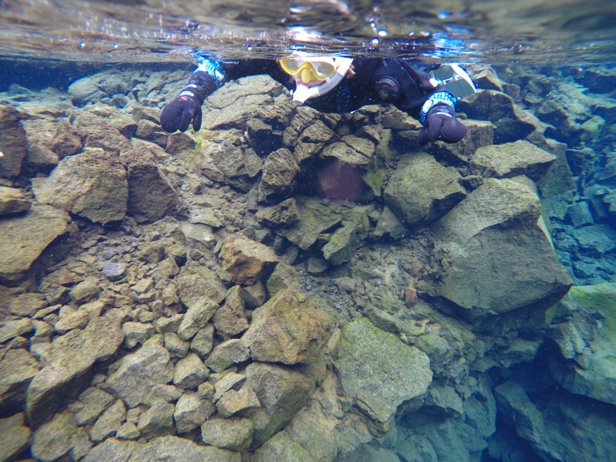 Snorkeling between Continents at the Silfra Fissure