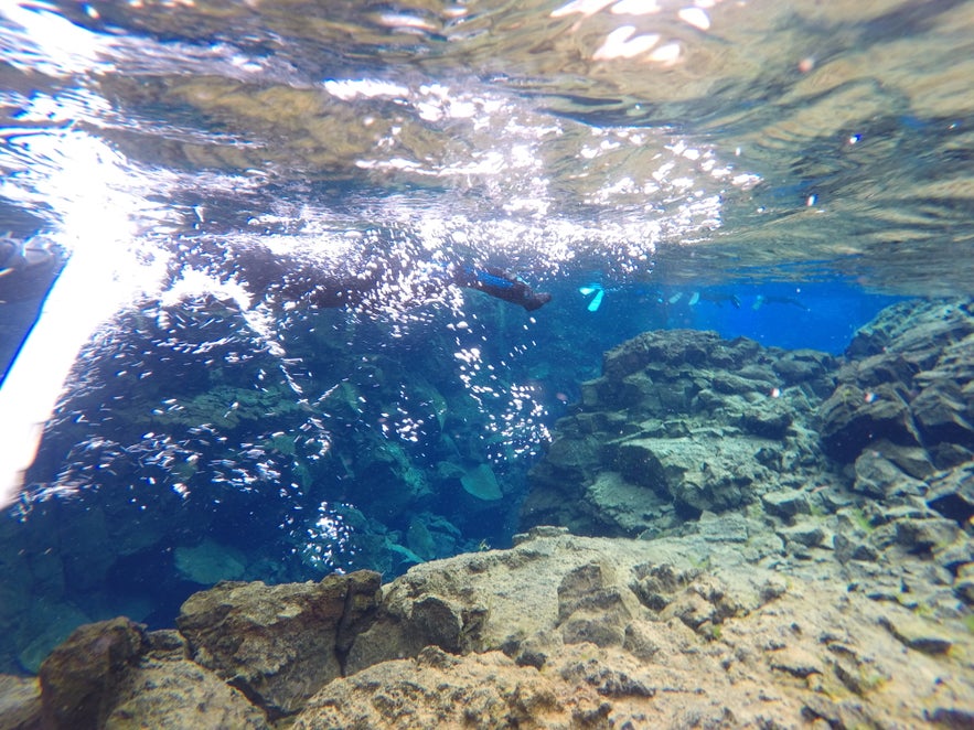 Snorkeling between Continents at the Silfra Fissure